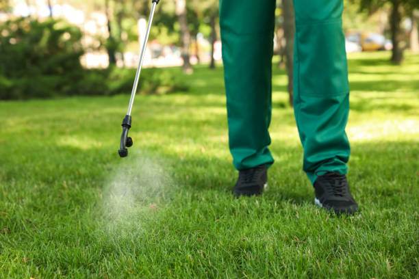 Best Residential Pest Control  in Whitehorn Cove, OK