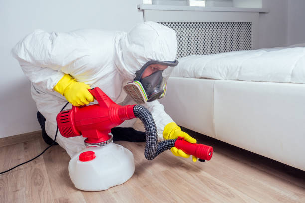 Best Flea Control Services  in Whitehorn Cove, OK