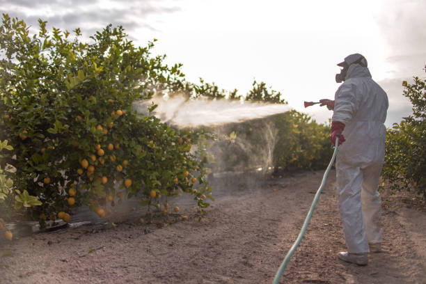 Best Exterminator Services  in Whitehorn Cove, OK