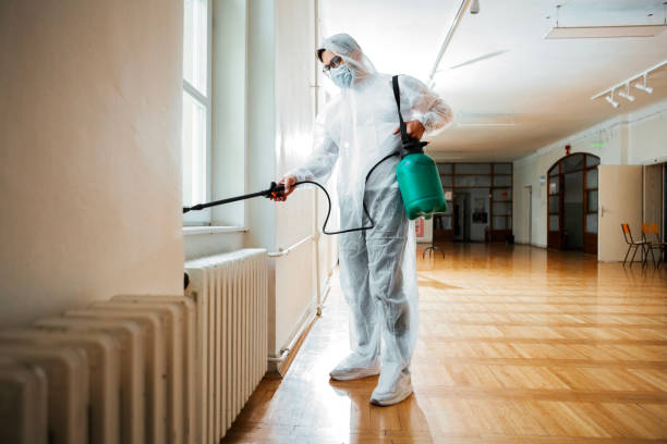 Best Pest Removal Services  in Whitehorn Cove, OK